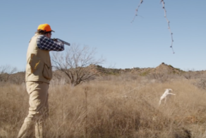 Texas Bird hunting in the hill country 